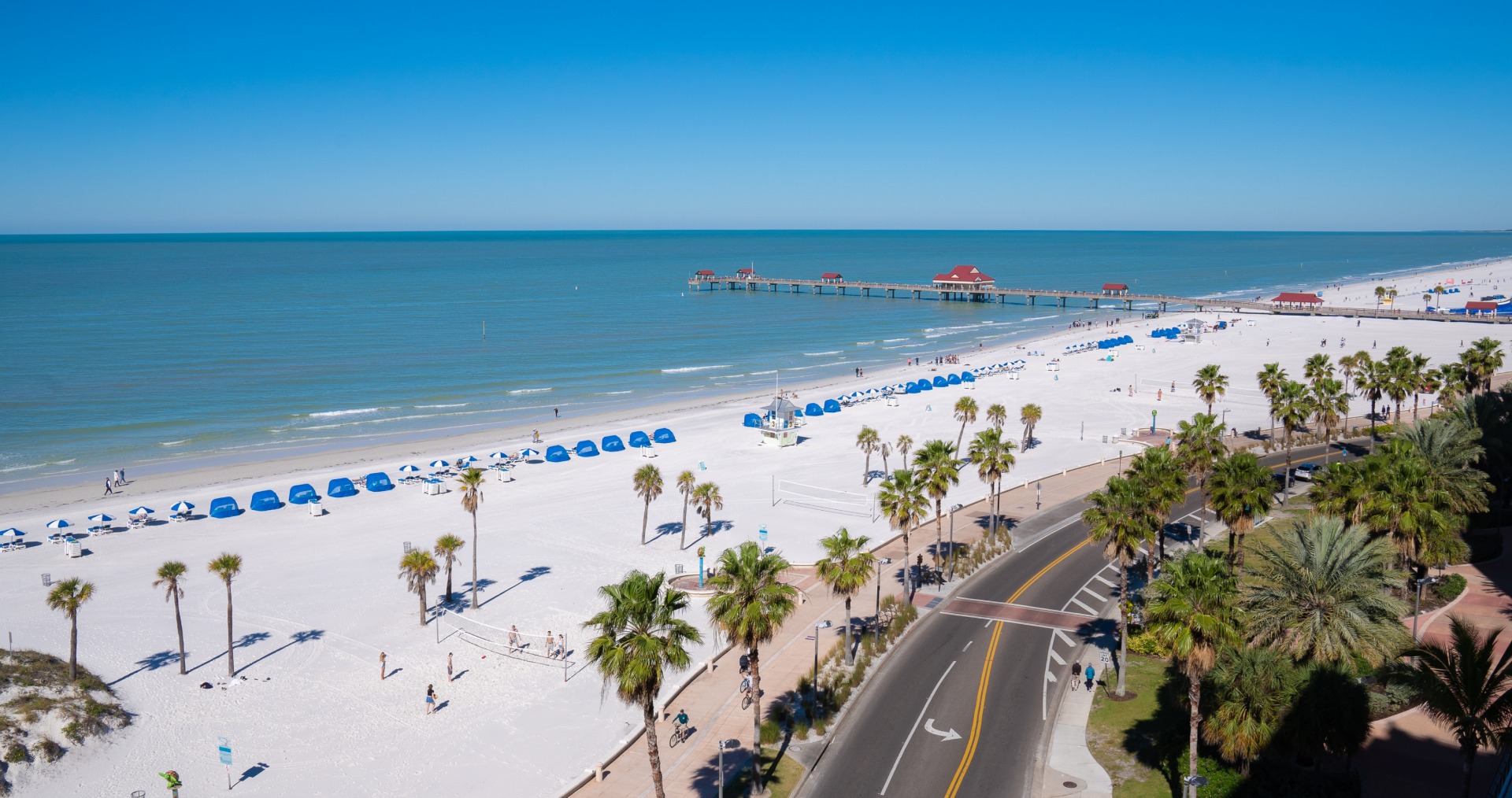 are dogs allowed on north clearwater beach