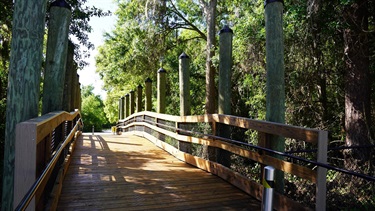 Boardwalks along the park