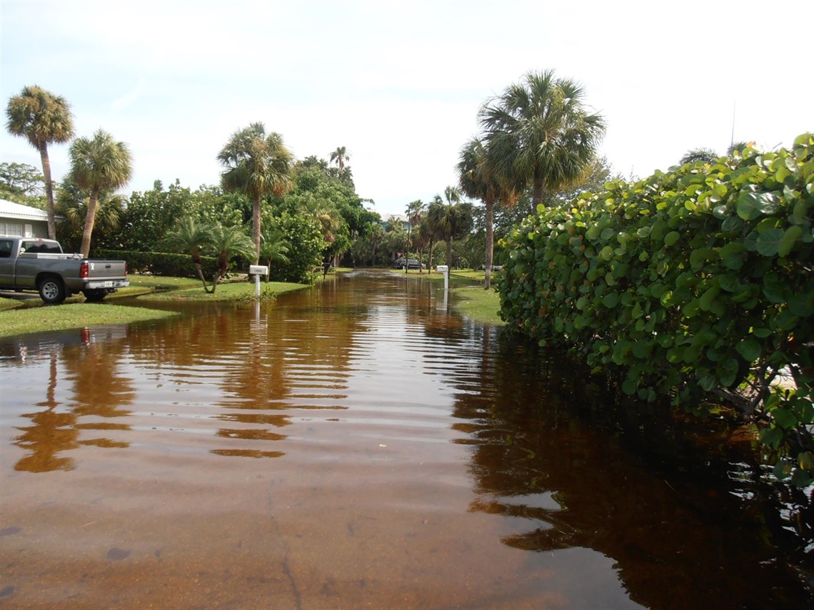 Flooded Street in Clearwater