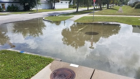 King Tide from Sunny Day Flood