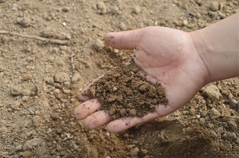 This is a photo of soil with fertilizers in it.