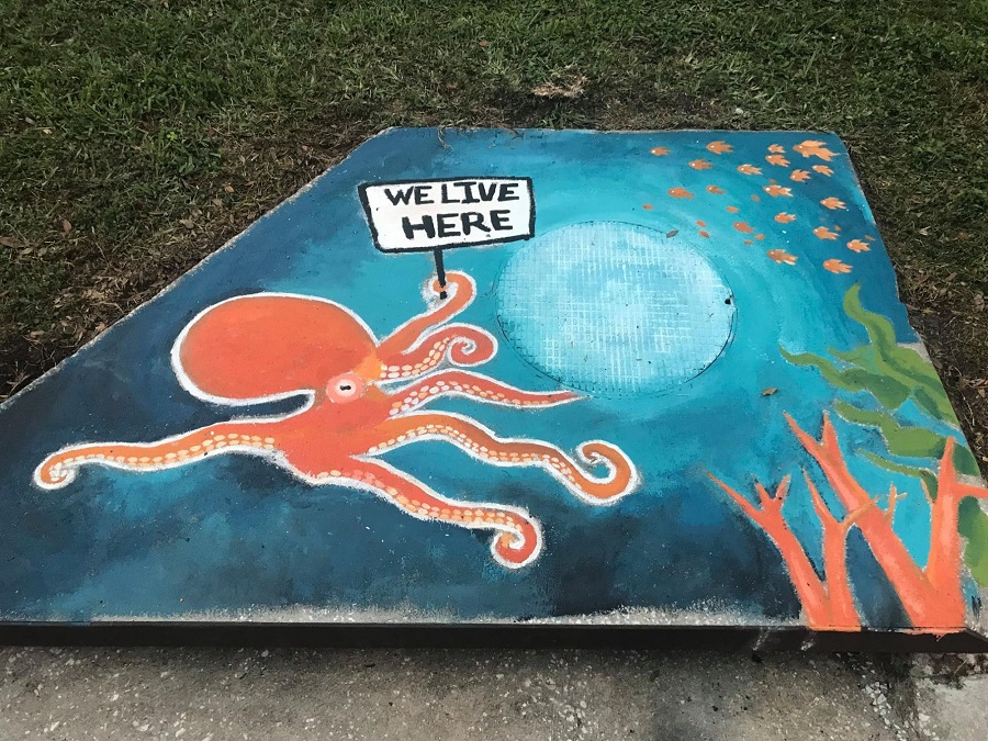 Storm Drain Mural Octopus
