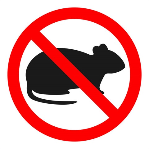Rodent Prevention.jpg
