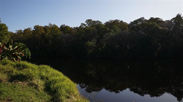 View of the lake at cypress park
