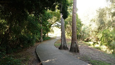 sidewalk and trees at cypress park
