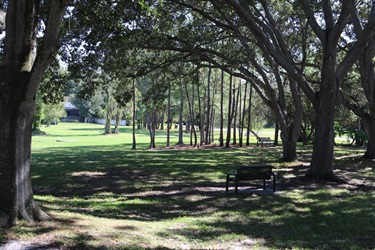 path and trees at glenwood park