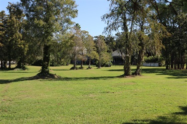 field and trees at glenwood park