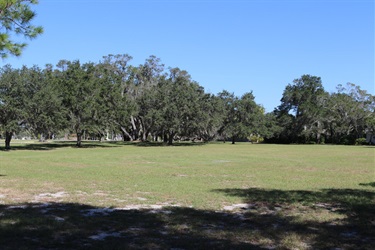Field and trees at hillcrest park