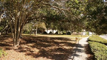 Trees and sidewalk at northwood park