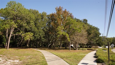 sidewalk and trees at northwood park