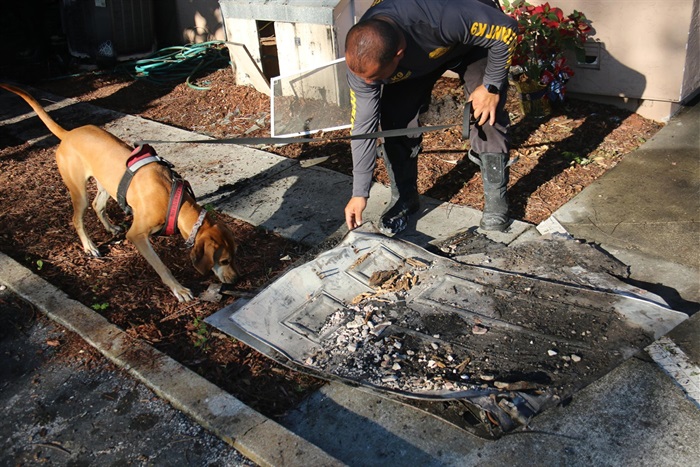 Fire Investigations dog